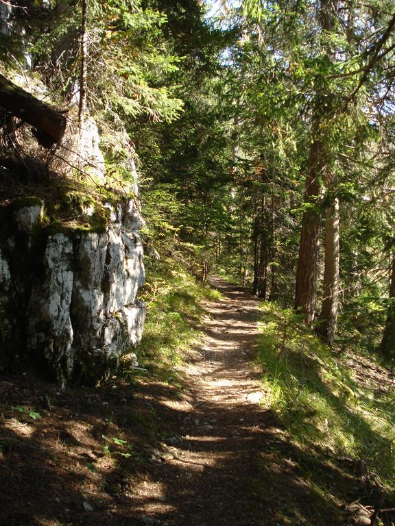 Ferien Im Haus Helga In Steinbach Am Attersee Eksteriør billede