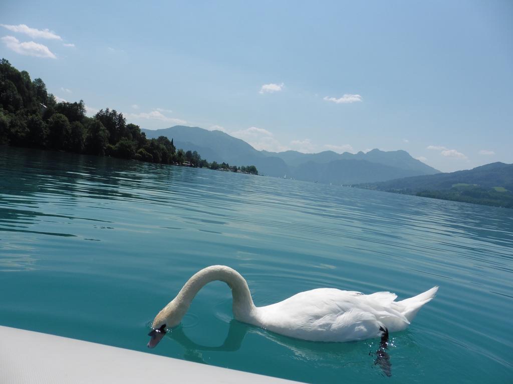Ferien Im Haus Helga In Steinbach Am Attersee Eksteriør billede